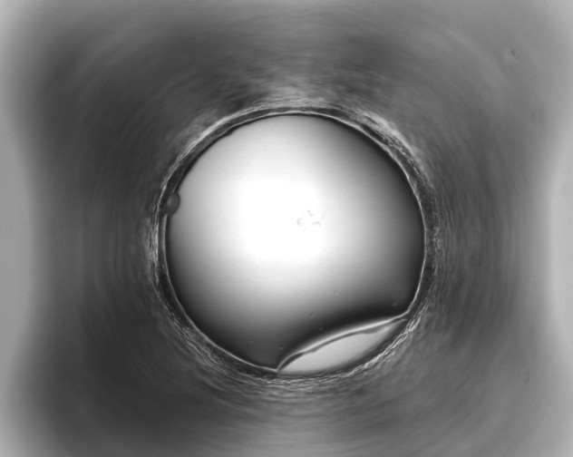 X0000096411220200801311346