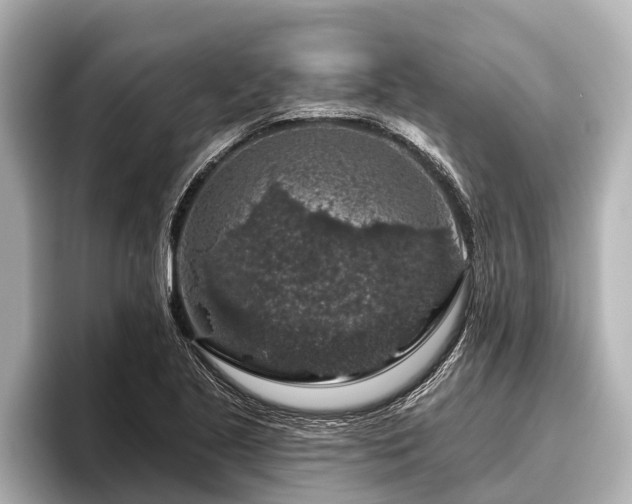 X0000096411221200801311346