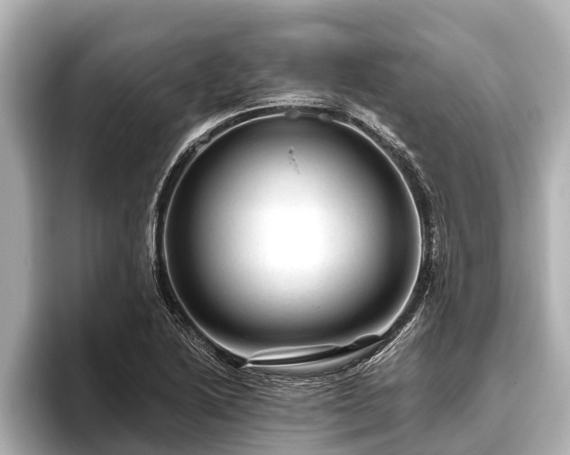 X0000096411222200801311346