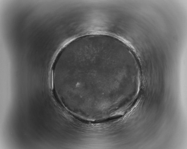 X0000096411223200801311346