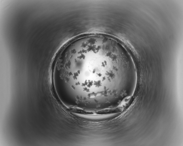 X0000096411224200801311346