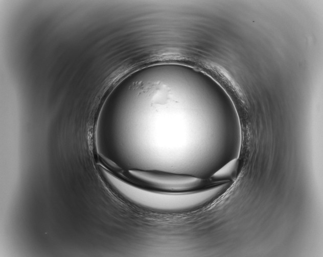 X0000096411225200801311346