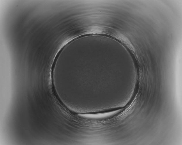 X0000096411226200801311346