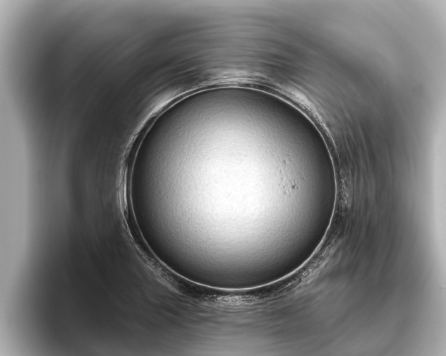 X0000096411227200801311346