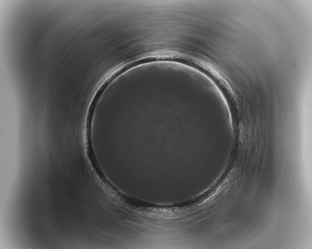 X0000096411229200801311346