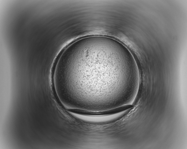 X0000096411230200801311346