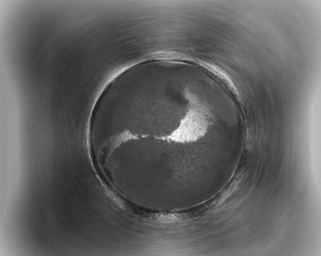 X0000096411231200801311346