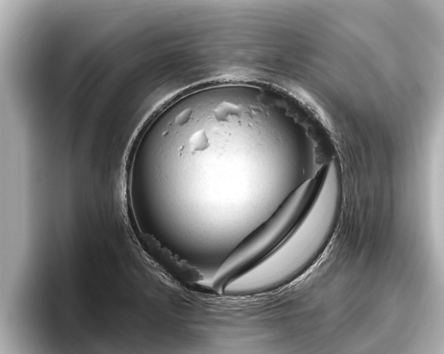 X0000096411232200801311346