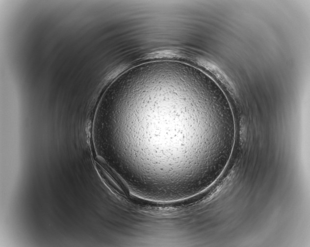 X0000096411233200801311346