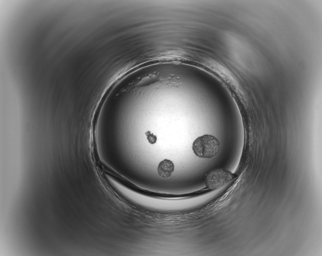 X0000096411234200801311346