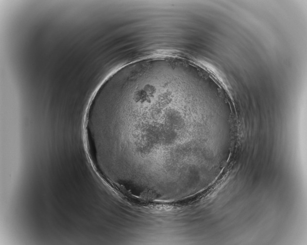 X0000096411235200801311346