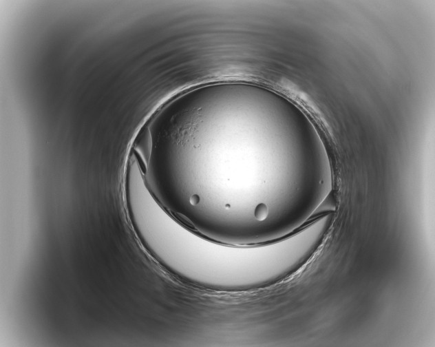 X0000096411236200801311346