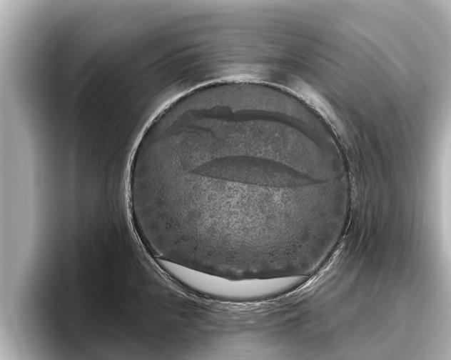 X0000096411240200801311346