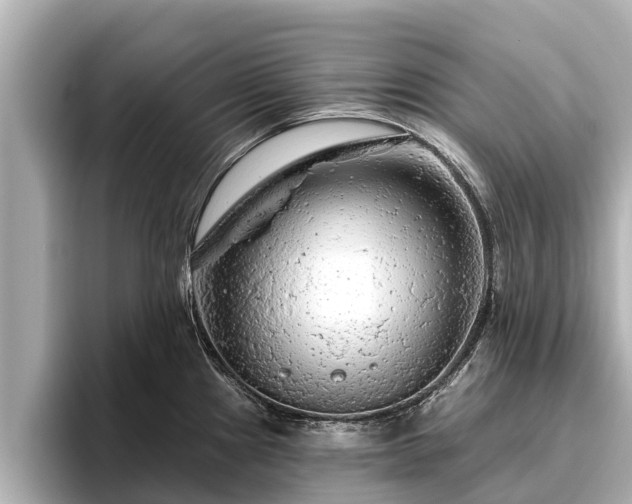 X0000096411241200801311346