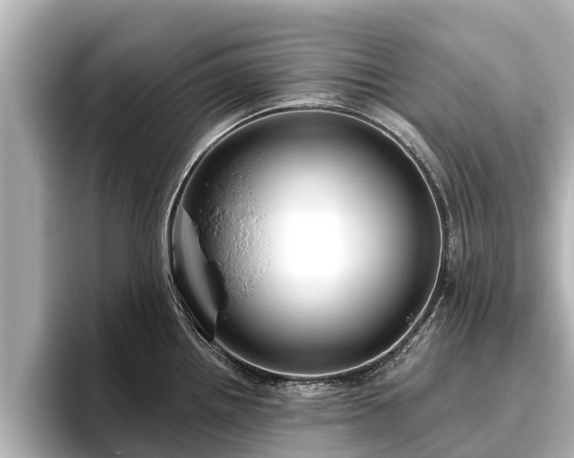 X0000096411242200801311346