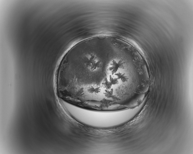 X0000096411243200801311346