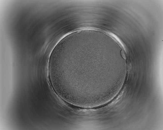 X0000096411244200801311346