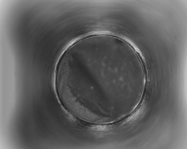 X0000096411245200801311346