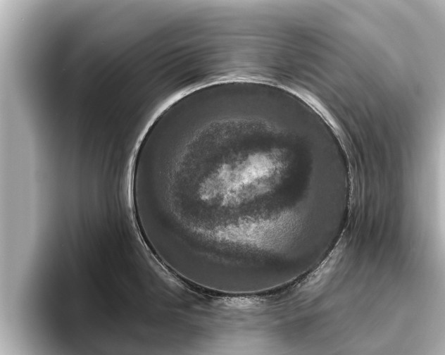X0000096411246200801311346