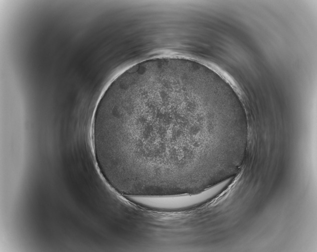 X0000096411247200801311346