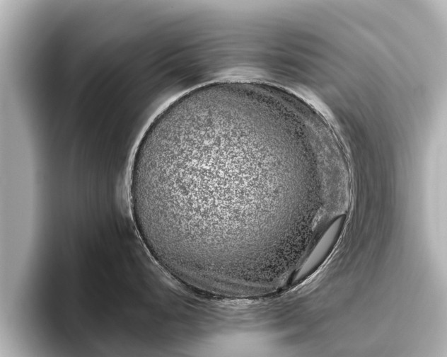 X0000096411248200801311346