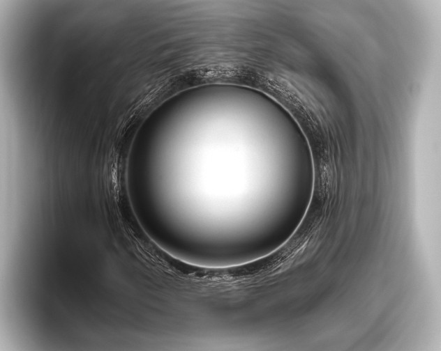 X0000096411250200801311345
