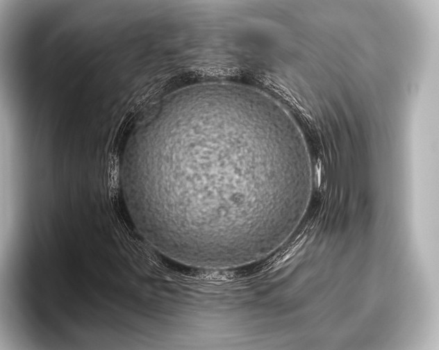 X0000096411251200801311345