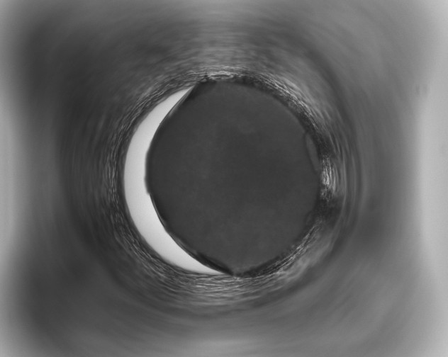 X0000096411252200801311345