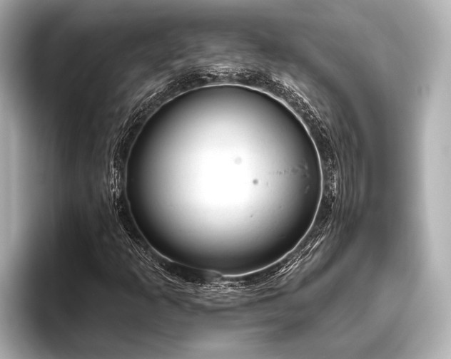 X0000096411253200801311345