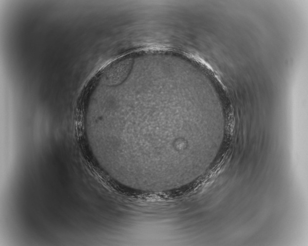 X0000096411255200801311345