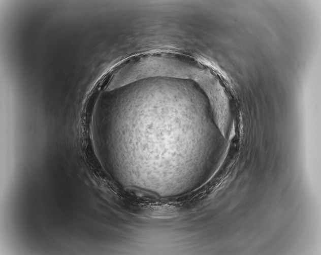 X0000096411256200801311345