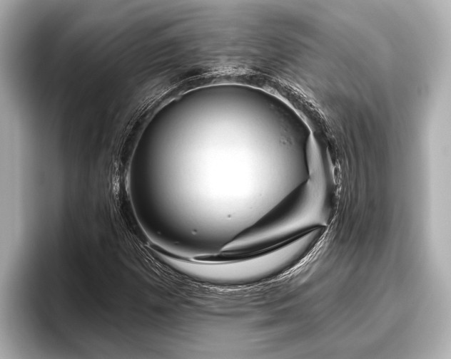 X0000096411257200801311345