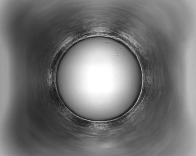 X0000096411258200801311345