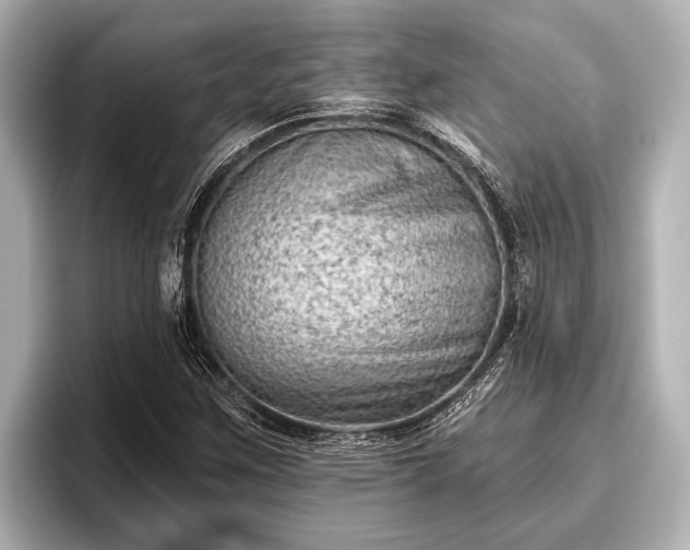 X0000096411259200801311345