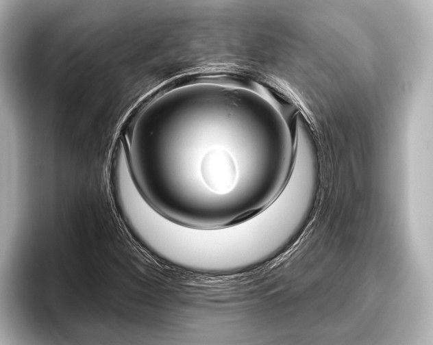 X0000096411260200801311345