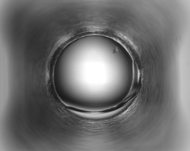X0000096411261200801311345