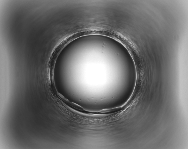 X0000096411262200801311345