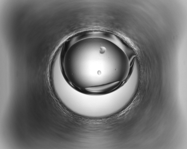 X0000096411264200801311345