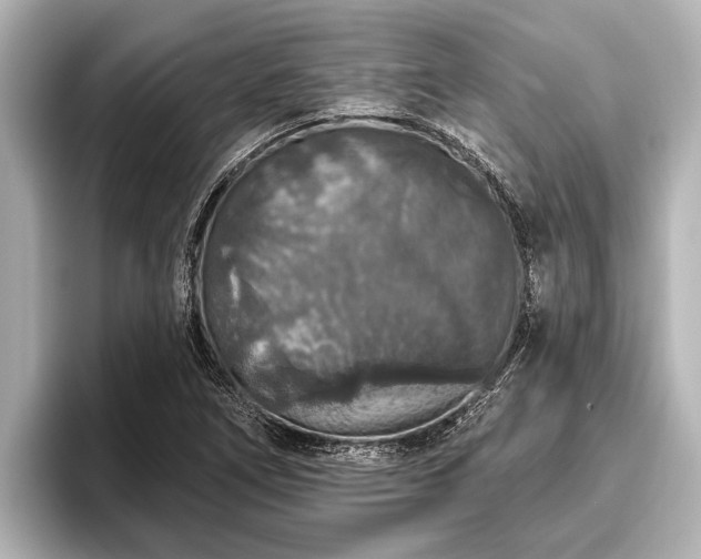 X0000096411266200801311345