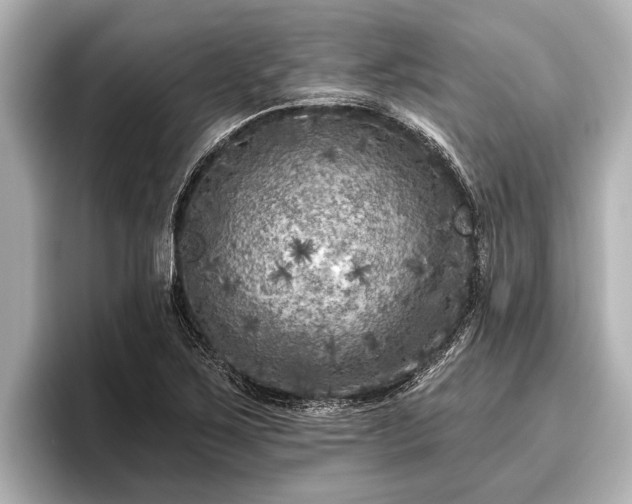 X0000096411267200801311345