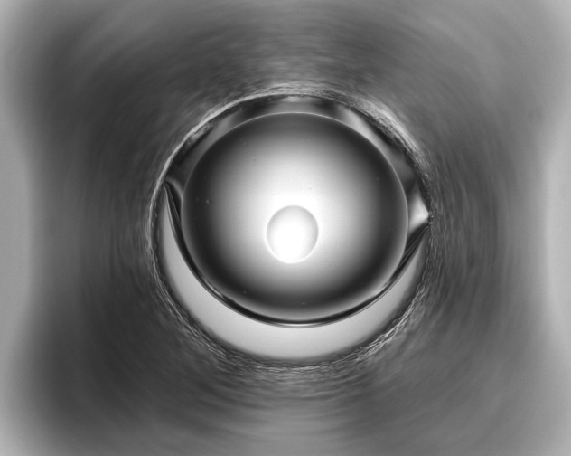 X0000096411268200801311345
