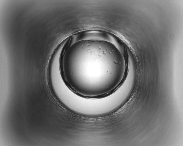 X0000096411269200801311345