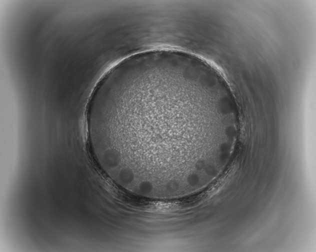 X0000096411271200801311345