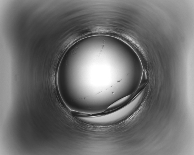 X0000096411273200801311345