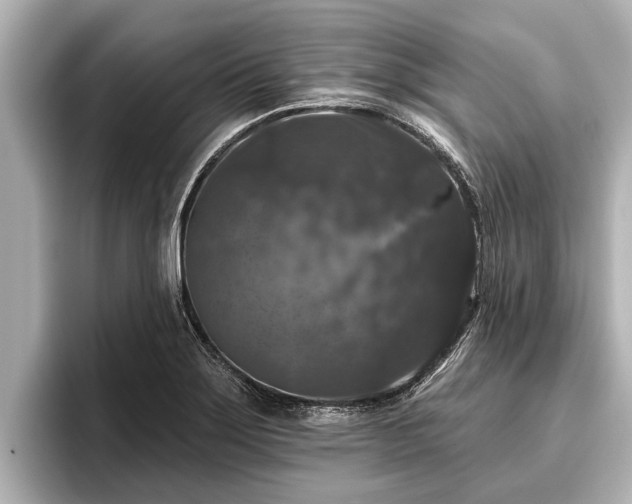 X0000096411275200801311345