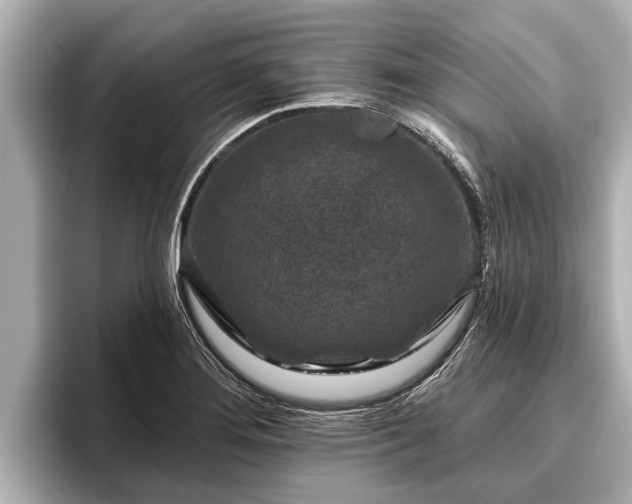 X0000096411276200801311345