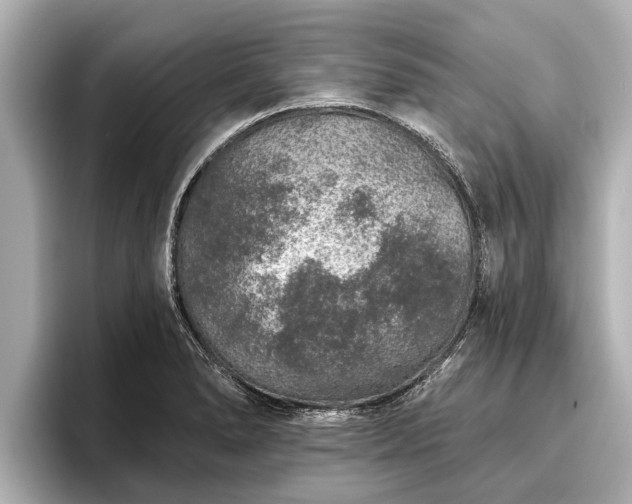 X0000096411278200801311345