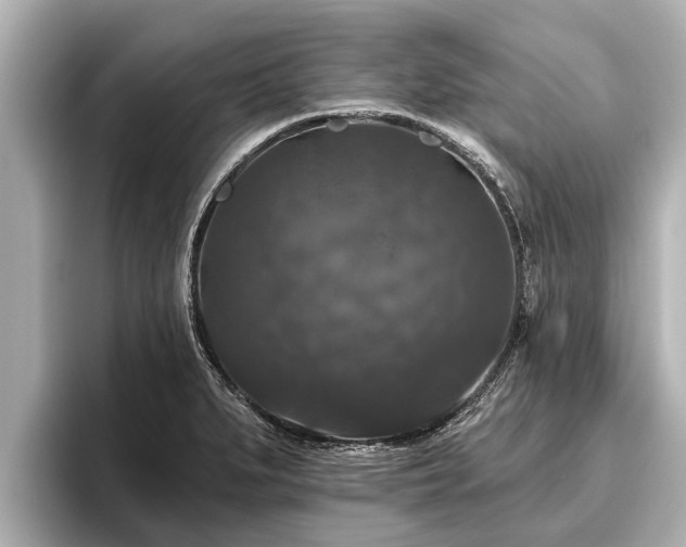 X0000096411279200801311345