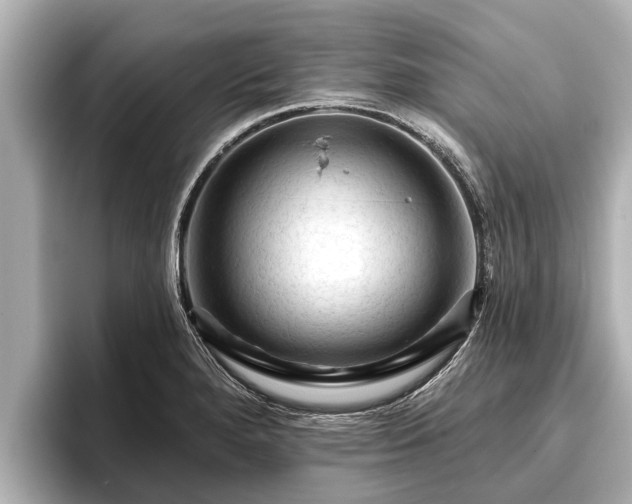 X0000096411280200801311345