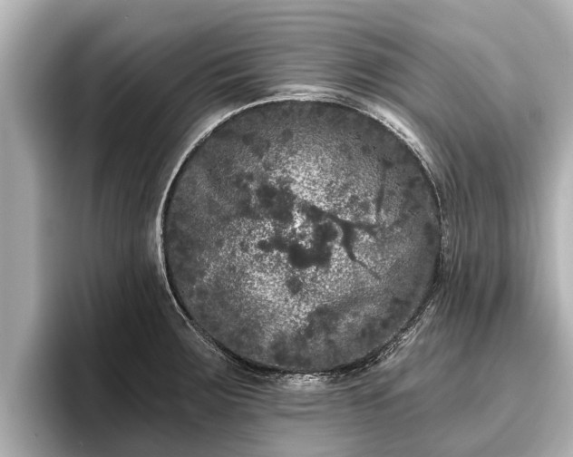 X0000096411283200801311345